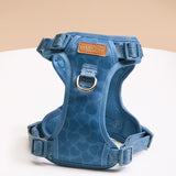 Blue Amour Townhouse Harness