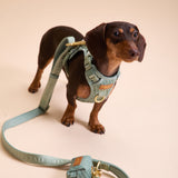 Madison Meadow Townhouse Harness