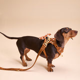 Polka Mocha Townhouse Harness
