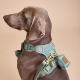 Madison Meadow Townhouse Harness