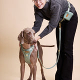 Madison Meadow Townhouse Leash