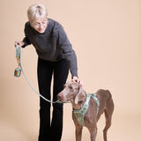 Madison Meadow Townhouse Leash