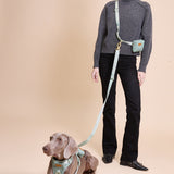 Madison Meadow Townhouse Leash
