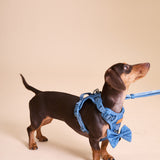 Blue Amour Townhouse Harness