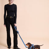 Blue Amour Townhouse Leash
