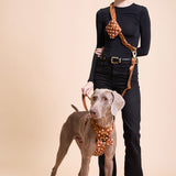 Polka Mocha Townhouse Leash