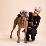 Polka Mocha Townhouse Leash