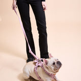 Rosé Sparkle Townhouse Leash