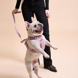 Rosé Sparkle Townhouse Leash
