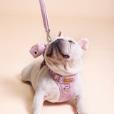 Rosé Sparkle Townhouse Harness