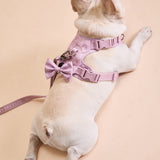 Rosé Sparkle Townhouse Harness