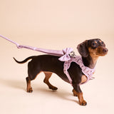 Rosé Sparkle Townhouse Harness