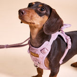 Rosé Sparkle Townhouse Harness