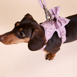 Rosé Sparkle Townhouse Harness