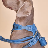 Blue Amour Townhouse Harness
