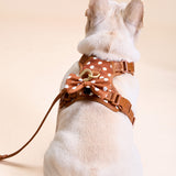 Polka Mocha Townhouse Harness