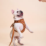 Polka Mocha Townhouse Harness