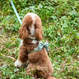 Madison Meadow Townhouse Harness