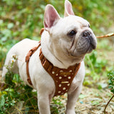 Polka Mocha Townhouse Harness