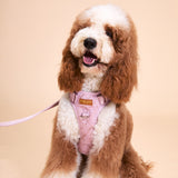 Rosé Sparkle Townhouse Harness