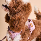 Rosé Sparkle Townhouse Harness