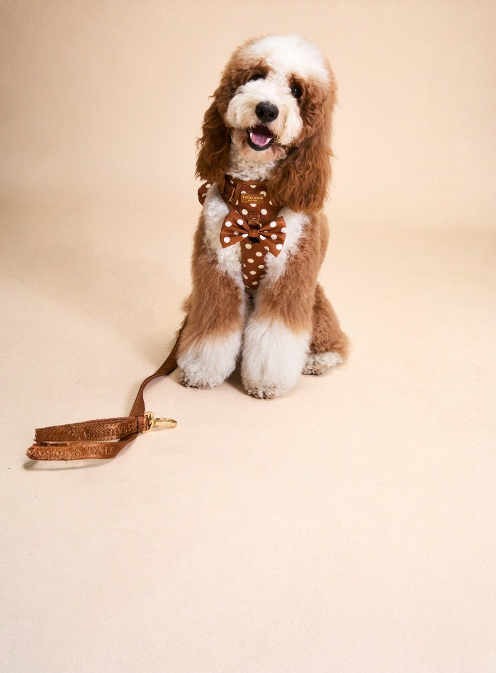 DESIGNED FOR PETS