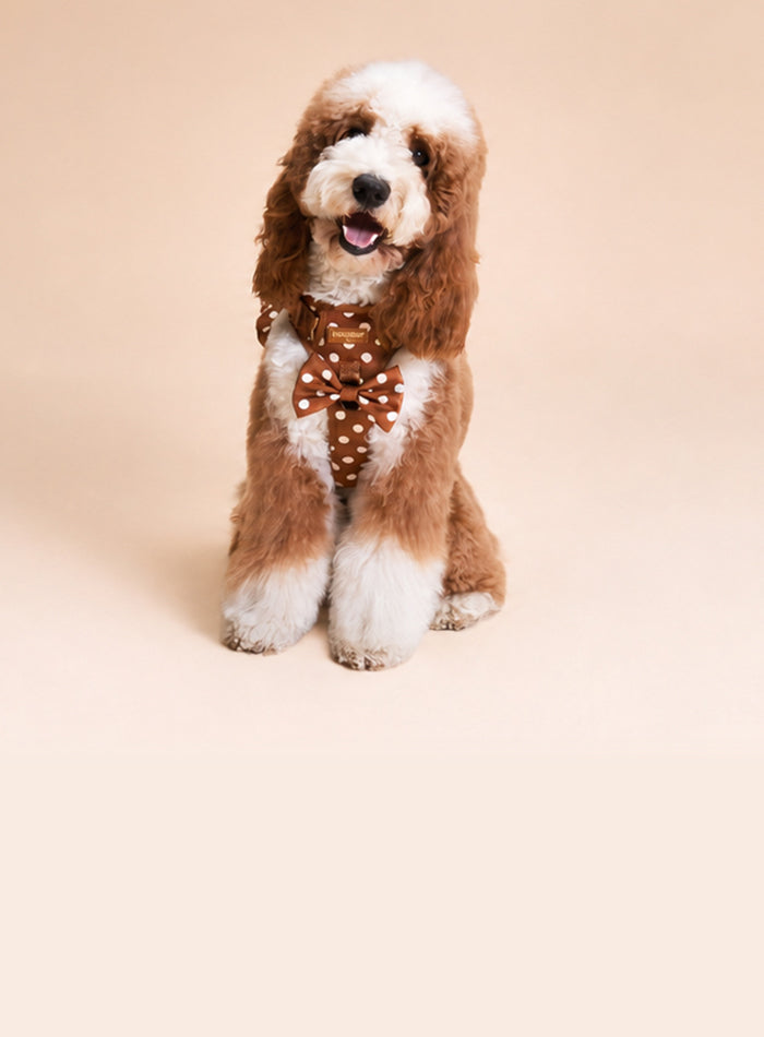 DESIGNED FOR PETS