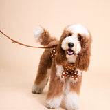 Polka Mocha Townhouse Harness