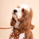 Polka Mocha Townhouse Harness