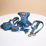 Blue Amour Townhouse Walk Kit