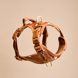 Polka Mocha Townhouse Harness