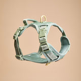 Madison Meadow Townhouse Harness