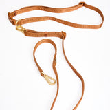 Polka Mocha Townhouse Leash